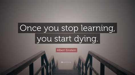 Albert Einstein Quote “once You Stop Learning You Start Dying”