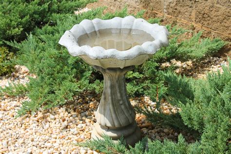 How To Perform Diy Birdbath Projects Bird Bath Concrete Bird Bath