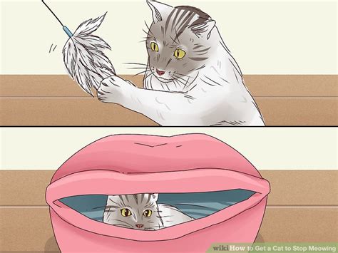 This common feline behaviour can occur because. 4 Ways to Get a Cat to Stop Meowing - wikiHow