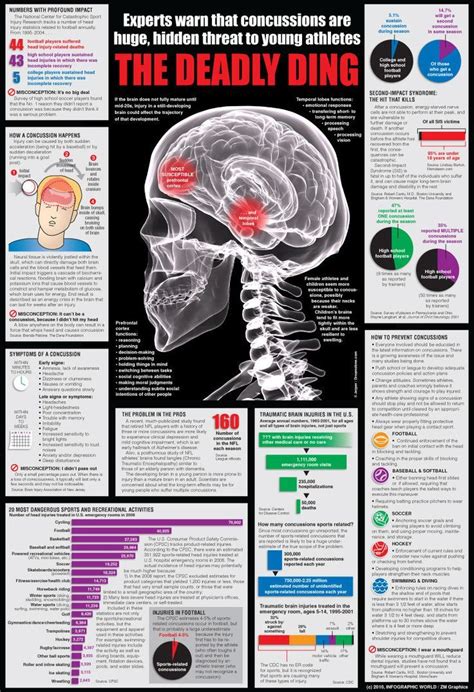 Concussion The Deadly Ding Brain Injury Concussion Infographic