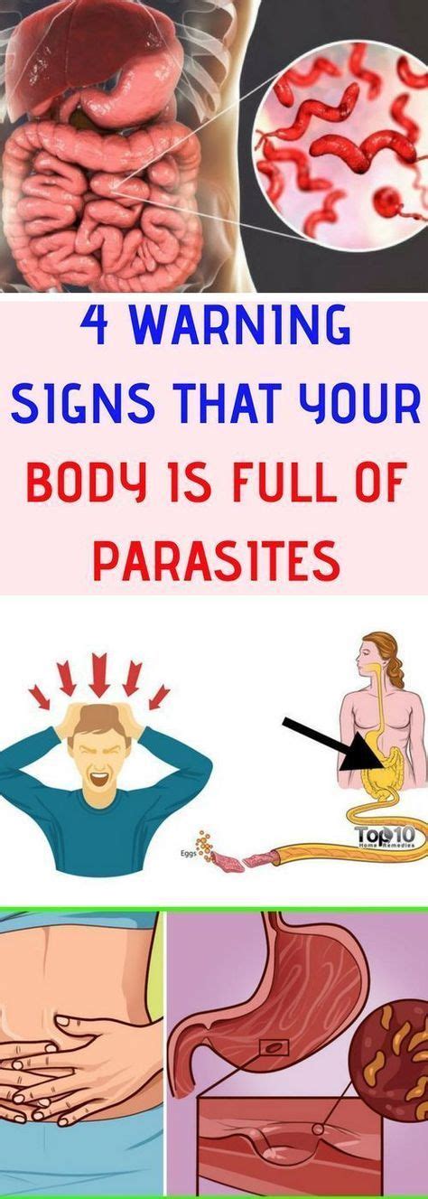 Here Are 4 Warning Signs That Your Body Is Full Of Parasites