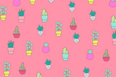 Pink Cactus Desktop Wallpapers Top Free Pink Cactus Desktop