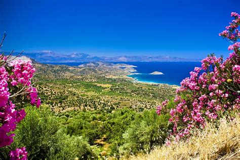 The Flora Crete Greece
