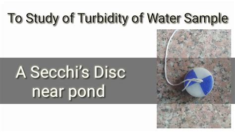 Study Of Turbidity Of Water Sample By Secchis S Disc Th Class Bio Practical Youtube