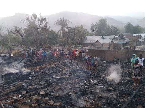 Maybe you would like to learn more about one of these? 30++ Gambar Bunga Mawar Terbakar - Galeri Bunga HD