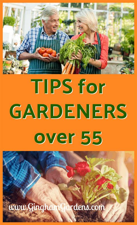 Tips For The Aging Gardener Benefits Of Gardening Container Gardening Vegetable Garden Tips