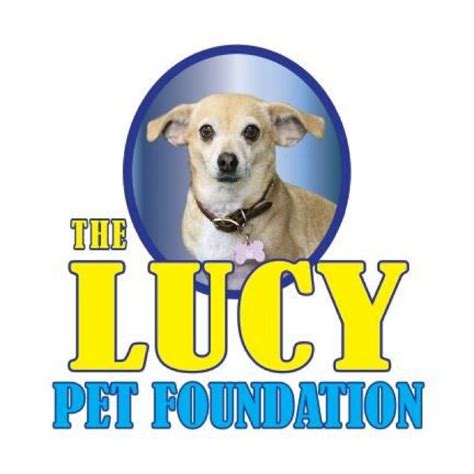 Find an adoptable pet near you. Lucy Pet Foundation on Twitter: "Grab an extra bag of food ...