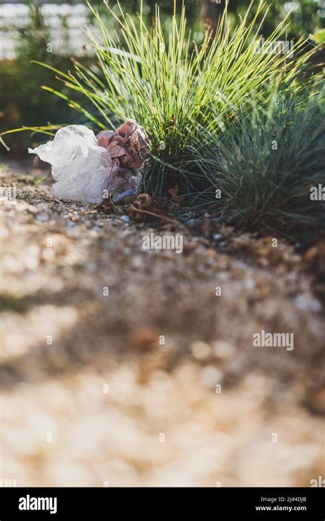 Plastic Bags And Litter Abandoned In Nature Among Beautiful Plants