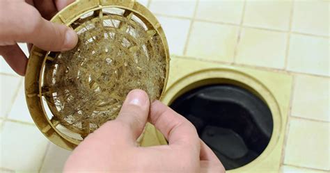 4 Simple Hacks To Remove Hair From A Shower Drain Patricks Hot Water