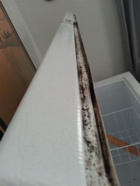 How To Clean Mold And Mildew From Refrigerator Door Seal