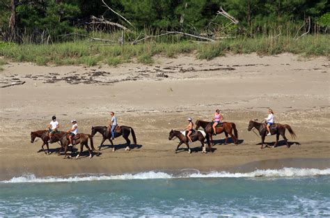 Horseback Riding