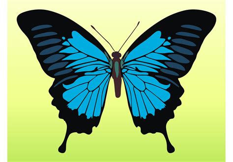 Pretty Butterfly Vector Download Free Vector Art Stock Graphics And Images