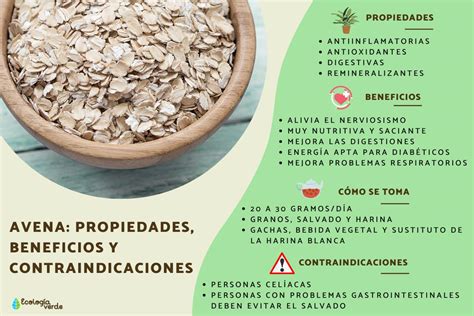 Avena propiedades beneficios y contraindicaciones Guía