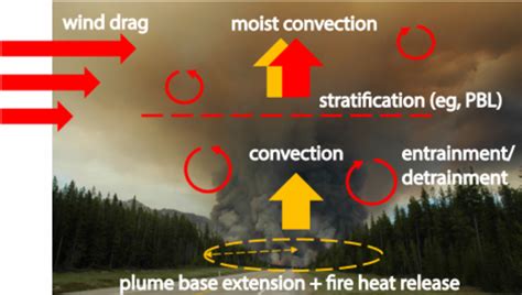 Schematic View Of The Physical Processes Involved In Fire Plume