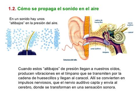 De todas formas, lo que me parece realmente interesante del texto es que un cura en el año 1872 se esté planteando la falta de movimiento/velocidad de la pintura y sugiriendo que falta por inventar un arte, que básicamente. Enroque de ciencia: ¿Se puede oír en el espacio? (y 2)