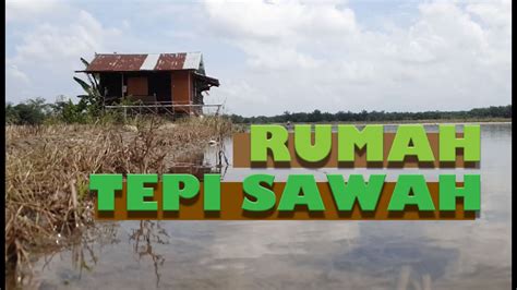 Petani kartun xiaoman di sawah gambar unduh gratis imej. Rumah Tepi Sawah - YouTube
