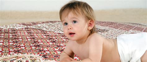 Domotex is the leading trade fair for floor coverings. Teppichreinigung in Hannover | Schon ab 16,80€/qm