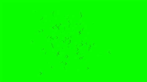 Make sure there aren't any wrinkles or shadows in your backdrop. Green Screen Wallpapers - Top Free Green Screen ...