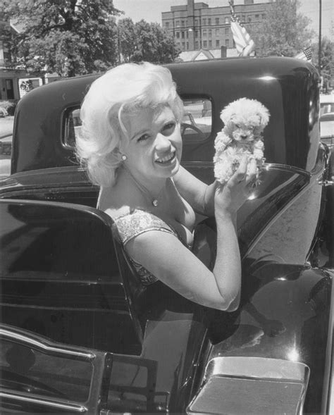 retro indy on twitter jayne mansfield mansfield poodle