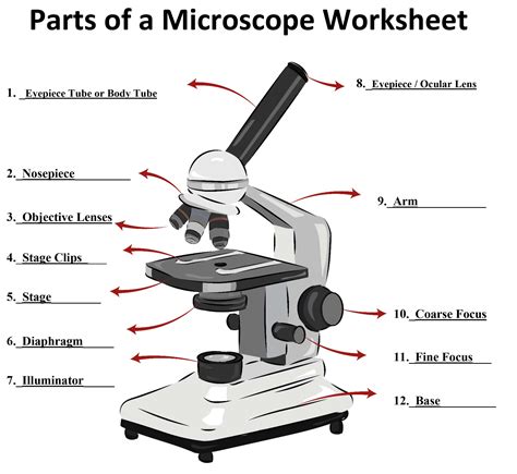 Labeling Microscope Worksheets