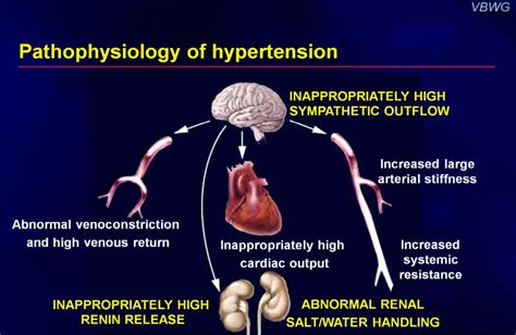 Hypertension Represents The Greatest Risk For Costa Ricans ⋆ The Costa