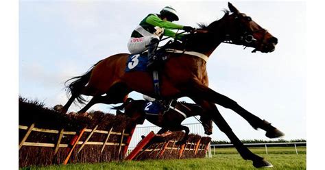 Mullins Set To Play Decisive Hennessy Hand The Irish Times