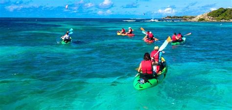 Find out which ocean kayaks are the best in our comprehensive guide. Ocean KAYAKING with Dressel Divers