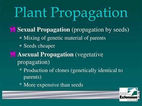 Ppt Plant Propagation Powerpoint Presentation Free Download Id4346626
