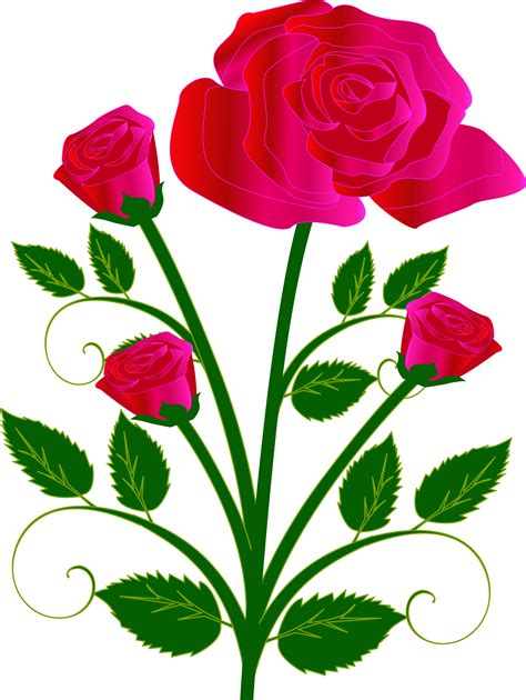 Rose Clipart Valentines Rose Valentines Transparent Free For Download