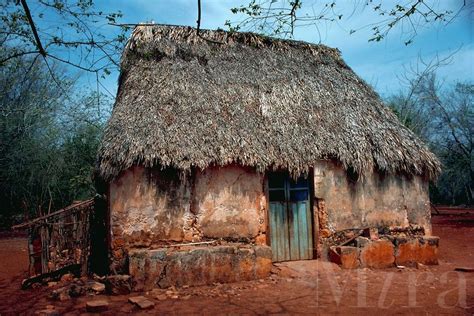 Mayan Architecture Thatched Roof Yucatan