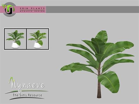 The Best Sims 4 Plants Mods And Cc — Snootysims