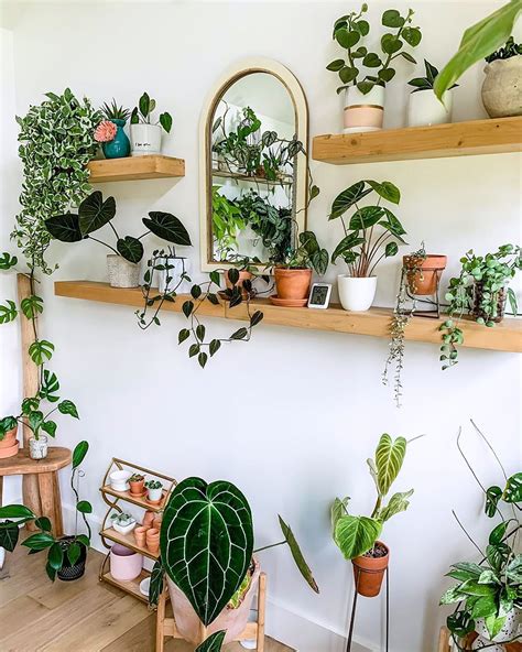 12 Ways To Arrange Your Perfect Indoor Plant Shelf Domino