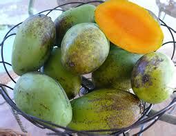 Pemberian nama ini bukan hal yang sembarangan sebab mangga ini memang sangat identik dengan buahnya yang harum dan manis. Kumpulan Resep Masakan Praktis: Resep Jus Mangga Susu Kedelai