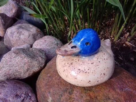 Einige von ihnen sind für anfänger, andere für fortgeschrittene geeignet. Gartendekoration - Ente Teichente PITTI Keramik Garten ...