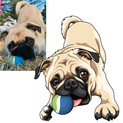 Vector Pets Turns Your Photograph Of Your Beloved Pet Into A Beautiful
