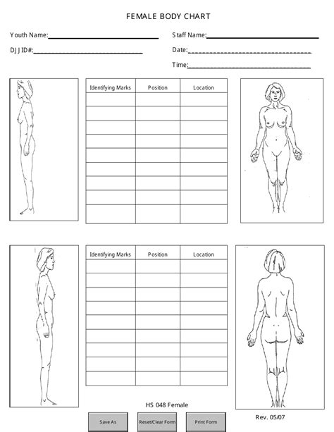 Female Body Chart Images