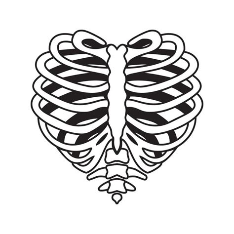 Skeleton Rib Cage Heart Svg Png Pdf Files Craftpi