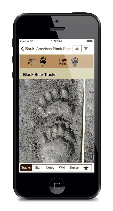 There are a lot of things being said about the future of cryptocurrencies. iTrack Wildlife - Animal Tracks App - NatureTracking