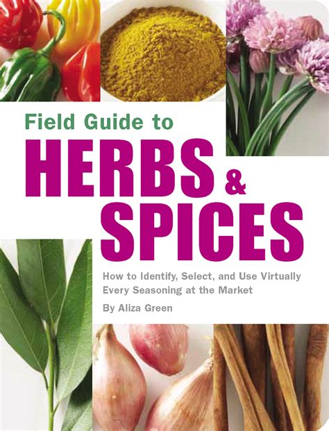 field-guide-to-herbs-spices-how-to-identify,-select