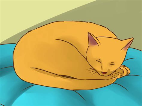 But only one species of lice makes its home on cats, a species called felicola subrostratus. 4 Ways to Treat Lice in Cats - wikiHow
