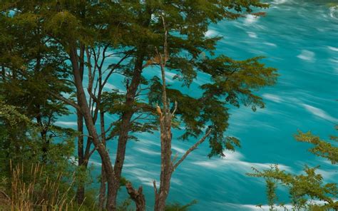 Landscape Nature Turquoise River Chile Trees Water Summer