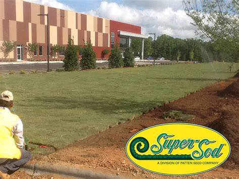 Call our charlotte sod installation experts today! Tons of sod! 5 truckloads of Bermuda Tifway 419 from Super ...