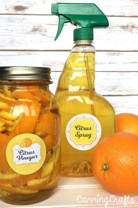 Exciting Things To Do With Orange Peels Diy Crafts