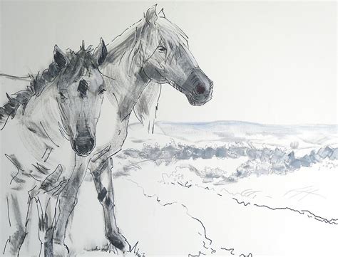 Sketches Of Wild Horses