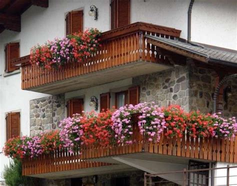Las plantas colgantes están muy de moda. Flores colgantes para balcón: fotos plantas (Foto) | Ella ...