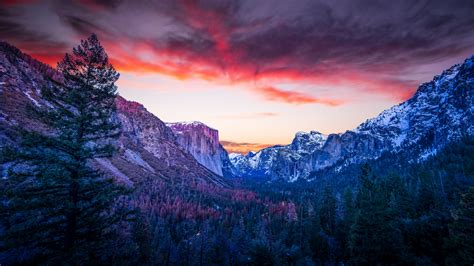Download Mountains Forest Twilight Yosemite Valley National Park