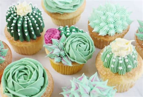 Pencil cactus is a tall succulent with long, spindly branches. How to Make Succulent Cupcakes - i am baker