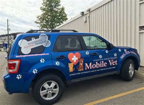 Bring puppy, pet dog & pet cat to pet shelter & animal care centre. Celebrating 30 years of giving back to companion animal ...