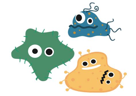 Different Bacteria Cartoon Transparent Png Stickpng