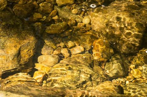 Water With Gentle Turbulence Farmington River Nepaug Forest C Stock
